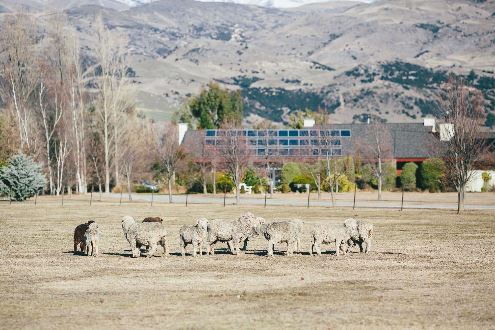 Lime Tree Lodge Wanaka Exterior photo